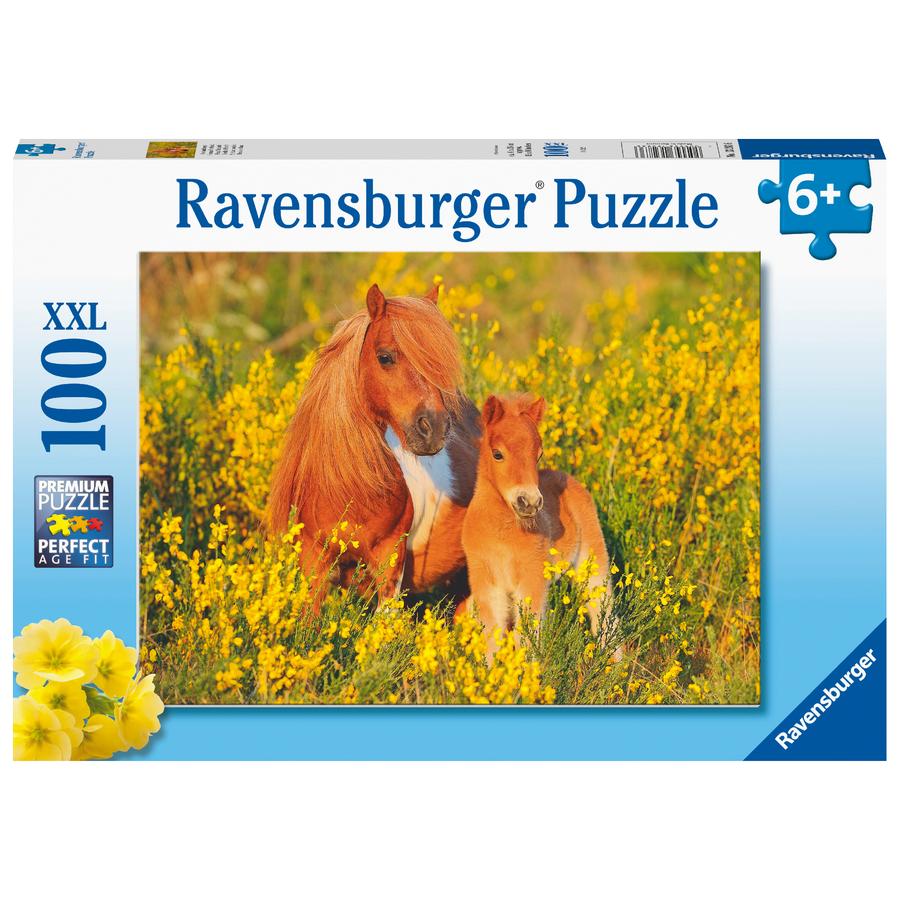 Ravensburger Puzzel XXL 100 stukjes - Shetland pony's