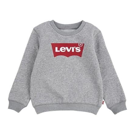 Levi's® Kids Boys Sweatshirt vaaleanharmaa