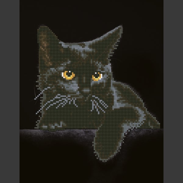 DIAMOND DOTZ ® Original Diamond Målning Cat " Mid night  Katt"