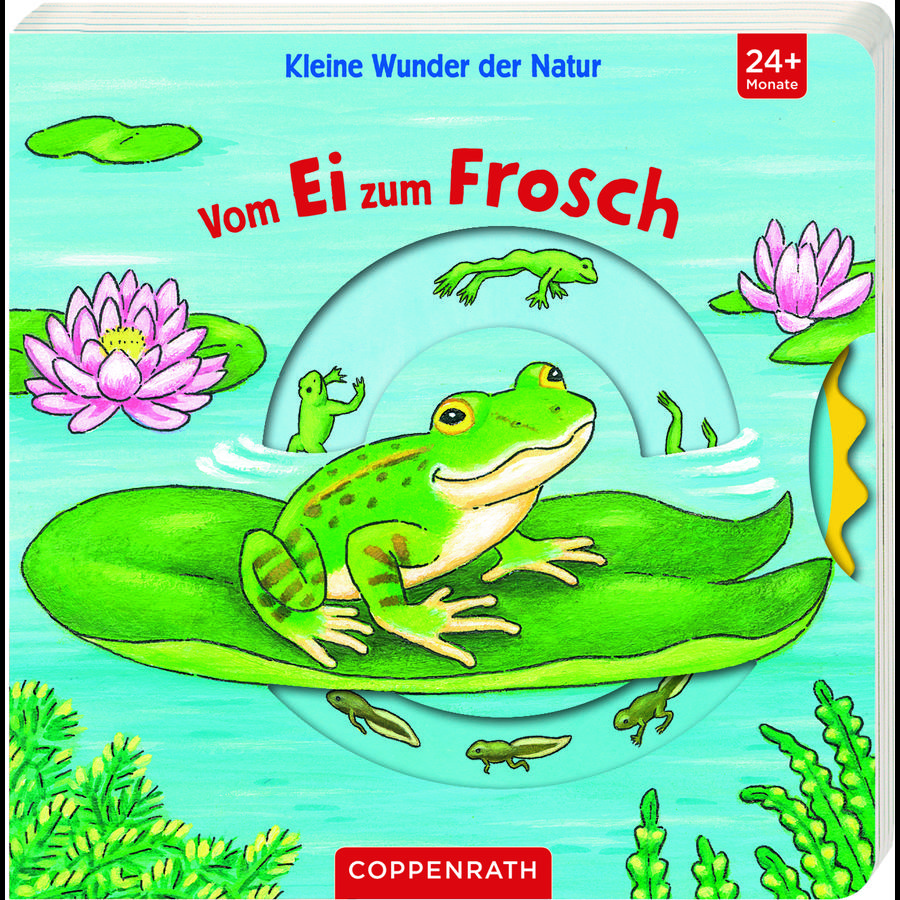 SPIEGELBURG COPPENRATH Kleine Wunder der Natur: Vom Ei zum Frosch