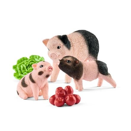 Schleich Figurine Cochon Nain Femelle Porcelets Roseoubleu Fr