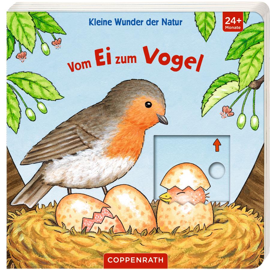 SPIEGELBURG COPPENRATH Kleine Wunder der Natur: Vom Ei zum Vogel