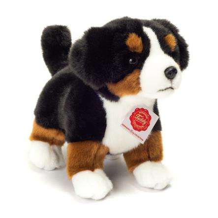 Teddy Hermann Berner Sennenhund Welpe Stehend 23 Cm Baby Markt Ch