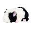 Teddy HERMANN® Maskotka świnka morska biało-czarna, 15 cm 