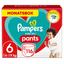 PAMPERS Pannolini Baby Dry Pants Extra Large Taglia 6 (15+kg) Confezione risparmio da 116 pezzi