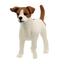 Schleichin maatilamaailma - Jack Russell Terrier 13916