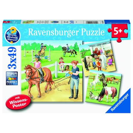 Ravensburger WWW: Dzień w hodowli koni    