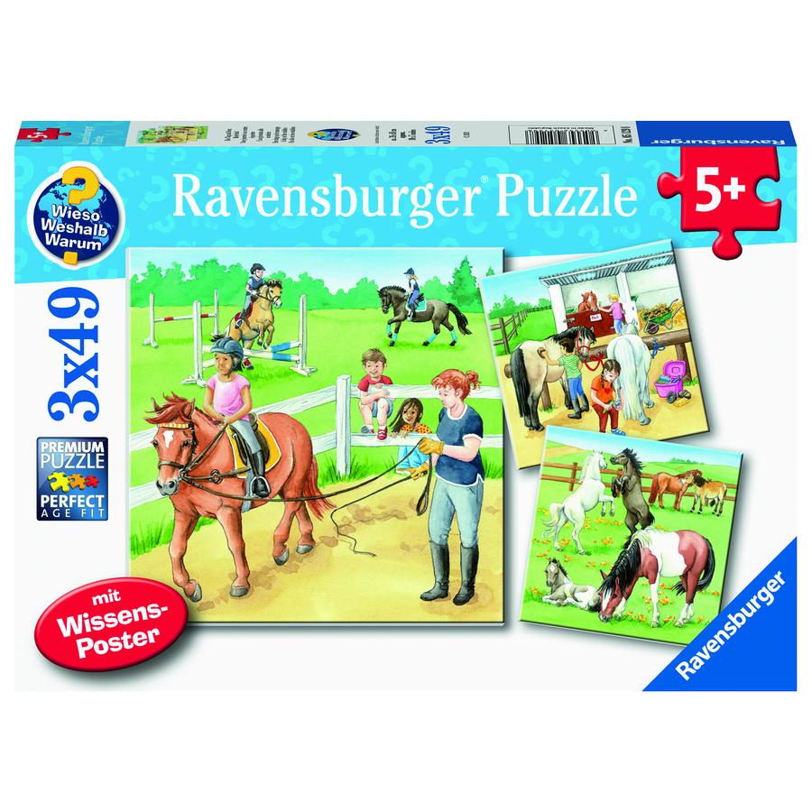 Ravensburger WWW: Dzień w hodowli koni    