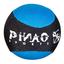 PiNAO Sports Funball Splash r, blauw