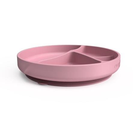 Everyday Baby Assiette Enfant Ventouse 6 M Rose Roseoubleu Fr