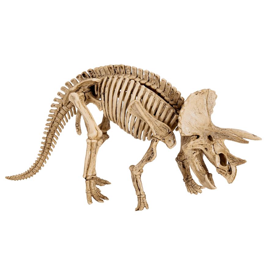 SPIEGELBURG COPPENRATH Set de fouilles Triceratops T-Rex World 