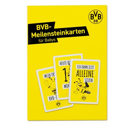 BVB Meilensteinkarten