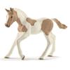Schleich Puledro Paint Horse 13886