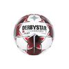 XTREM Leksaker och sport - Derbystar Football BUNDESLIGA "Player Special" säsong 19/20 röd 