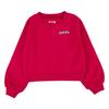 Levi's® Kids Sweatshirt rød