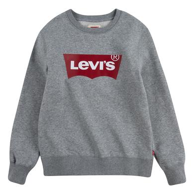 Levi`s® Kids Sweatshirt grau
