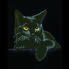  DIAMOND DOTZ ® Original Diamond Pittura gatto " Mid night  Gatto"