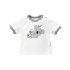 Baby Sweets Shirt Kurzarm Baby Koala weiß grau